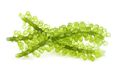 Green Caviar