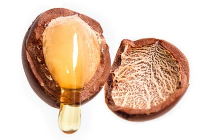 Shea Nut Oil