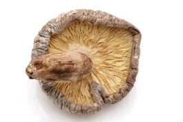Lentinus Edodes Extract