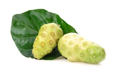 Noni Fruit