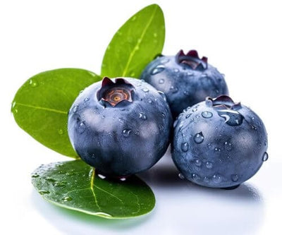 Bilberry