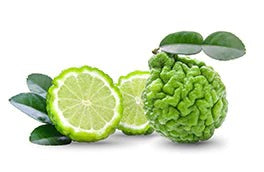 Bergamot Essential Oil